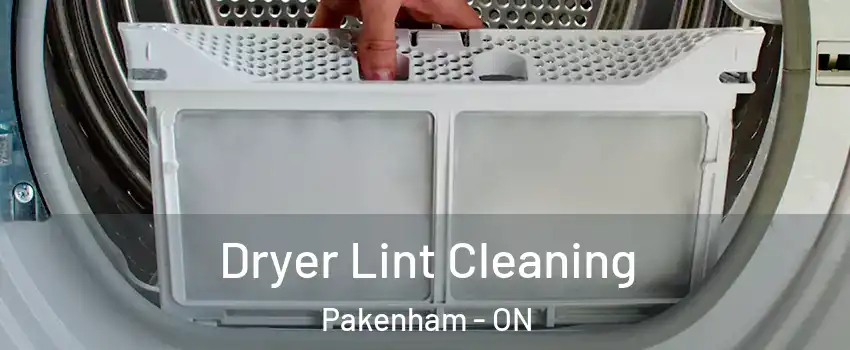  Dryer Lint Cleaning Pakenham - ON