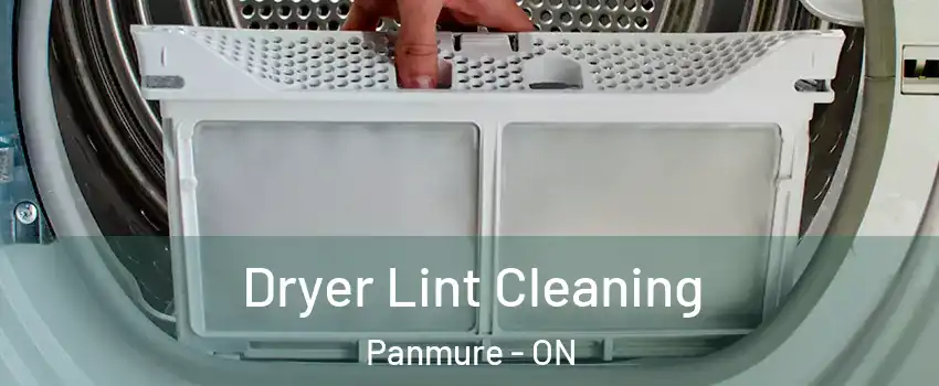  Dryer Lint Cleaning Panmure - ON