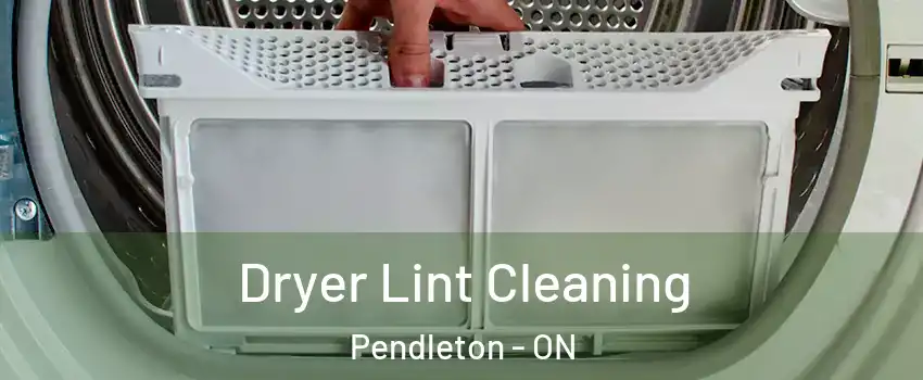  Dryer Lint Cleaning Pendleton - ON