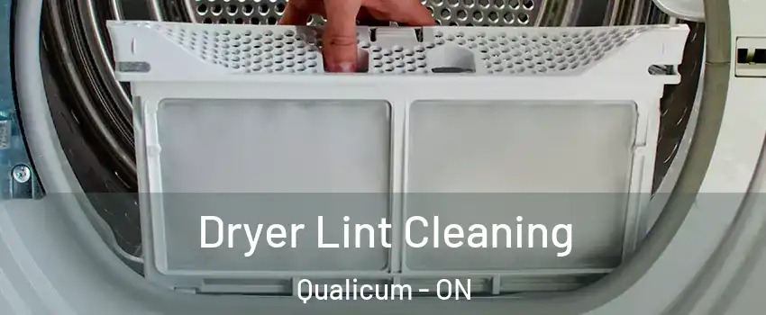  Dryer Lint Cleaning Qualicum - ON