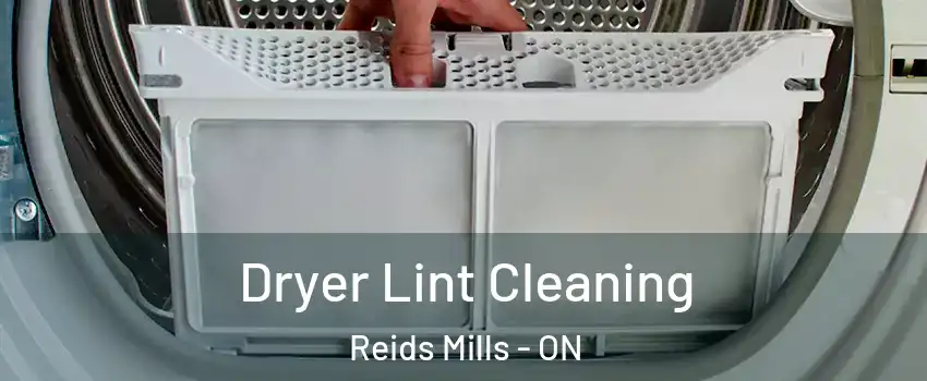  Dryer Lint Cleaning Reids Mills - ON