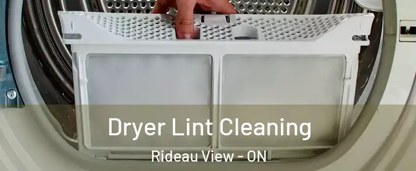  Dryer Lint Cleaning Rideau View - ON