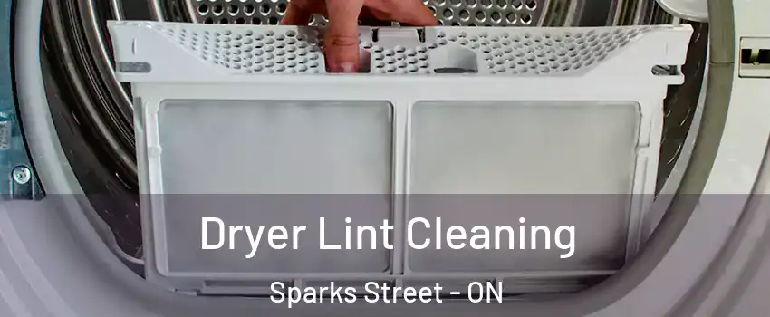  Dryer Lint Cleaning Sparks Street - ON