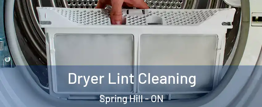  Dryer Lint Cleaning Spring Hill - ON