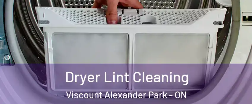  Dryer Lint Cleaning Viscount Alexander Park - ON