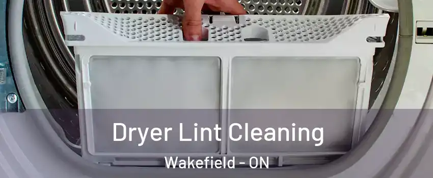  Dryer Lint Cleaning Wakefield - ON