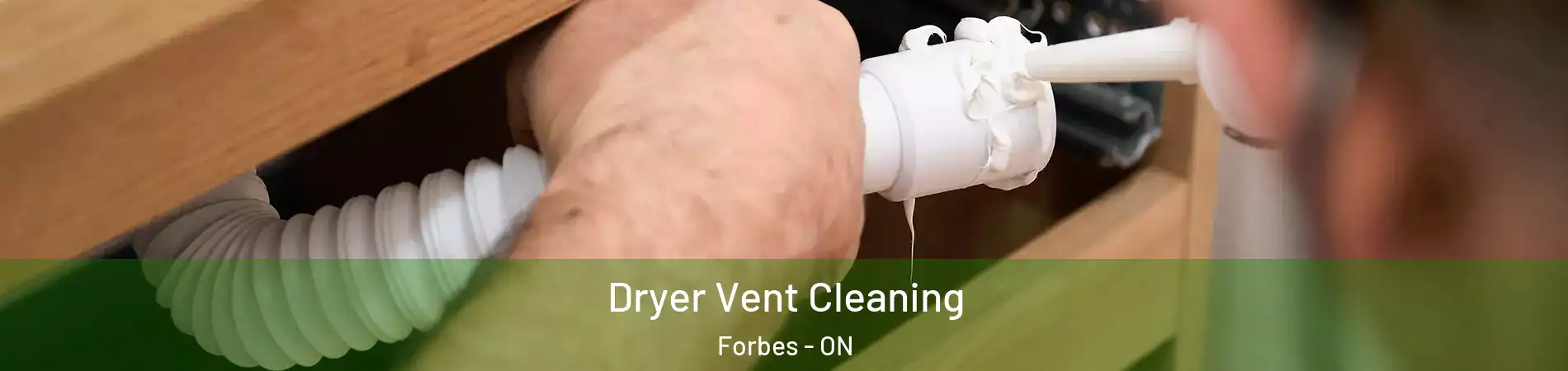  Dryer Vent Cleaning Forbes - ON