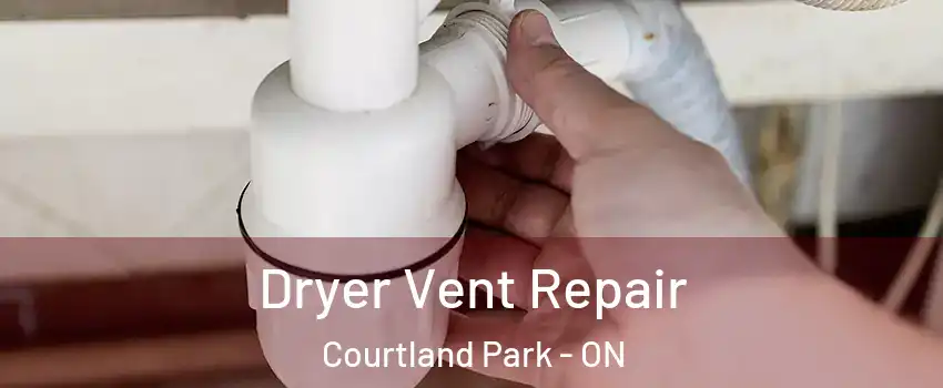  Dryer Vent Repair Courtland Park - ON