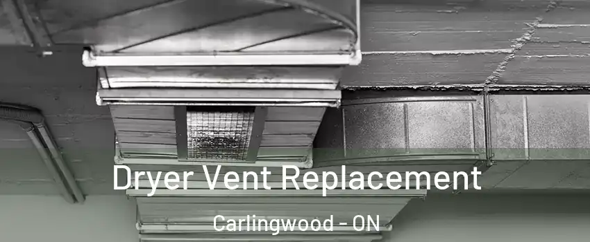  Dryer Vent Replacement Carlingwood - ON