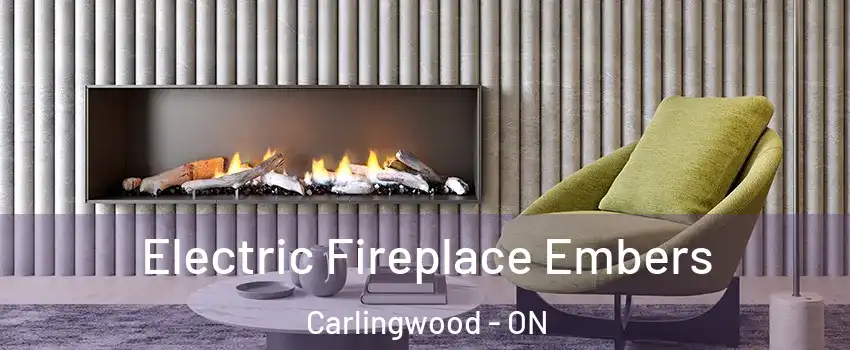  Electric Fireplace Embers Carlingwood - ON