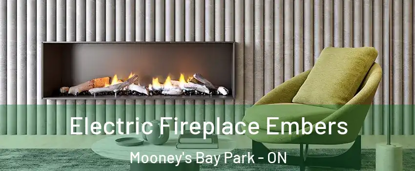  Electric Fireplace Embers Mooney's Bay Park - ON