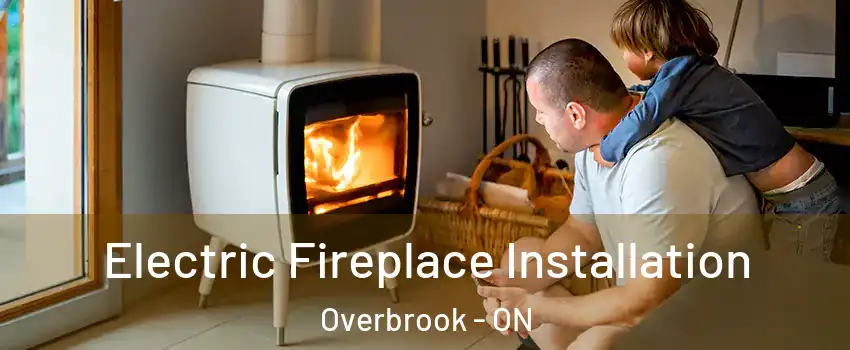  Electric Fireplace Installation Overbrook - ON