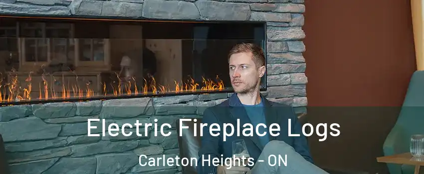  Electric Fireplace Logs Carleton Heights - ON