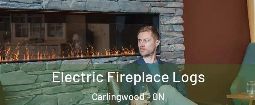  Electric Fireplace Logs Carlingwood - ON