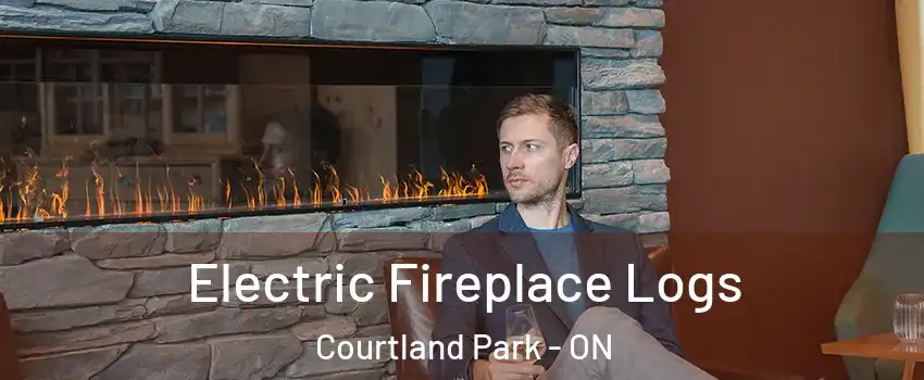  Electric Fireplace Logs Courtland Park - ON