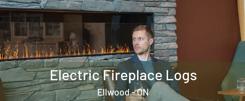  Electric Fireplace Logs Ellwood - ON