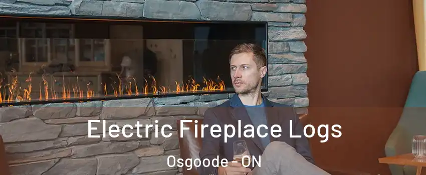  Electric Fireplace Logs Osgoode - ON