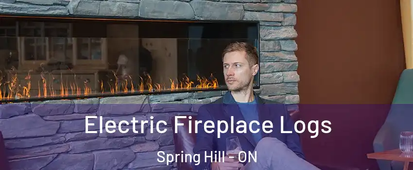  Electric Fireplace Logs Spring Hill - ON