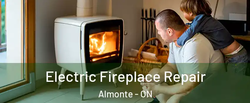  Electric Fireplace Repair Almonte - ON