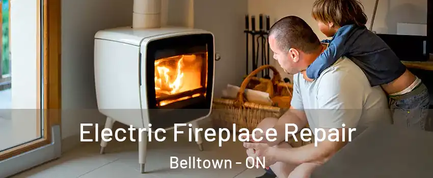  Electric Fireplace Repair Belltown - ON