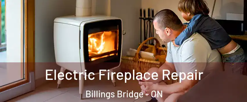  Electric Fireplace Repair Billings Bridge - ON