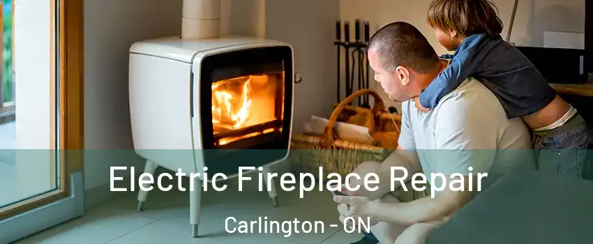  Electric Fireplace Repair Carlington - ON