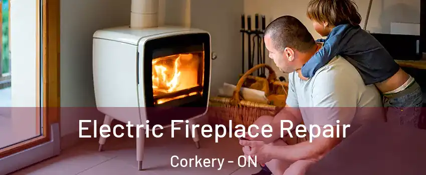  Electric Fireplace Repair Corkery - ON