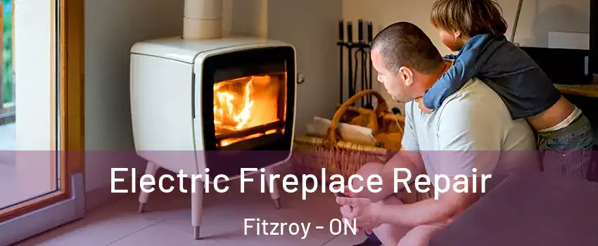  Electric Fireplace Repair Fitzroy - ON