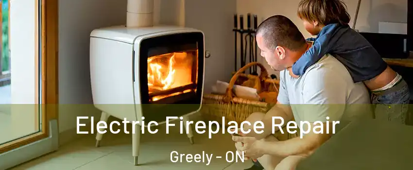  Electric Fireplace Repair Greely - ON