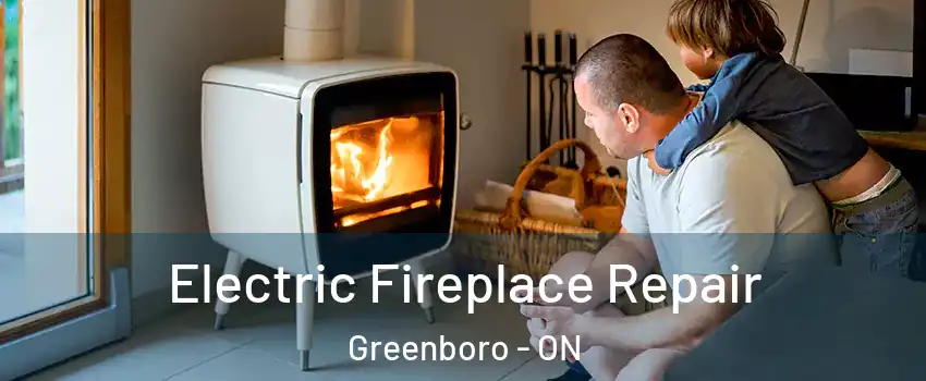  Electric Fireplace Repair Greenboro - ON