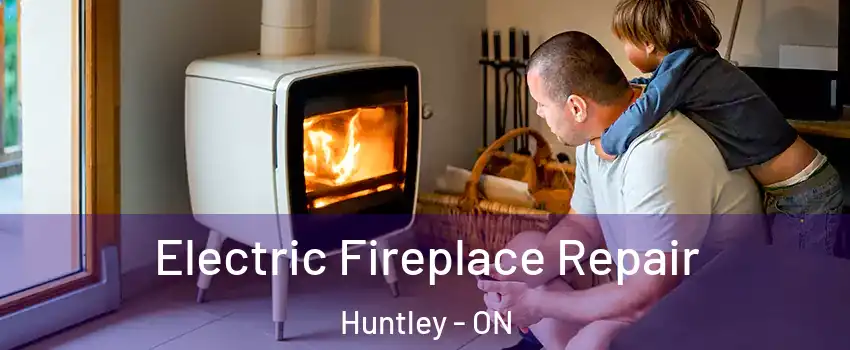  Electric Fireplace Repair Huntley - ON