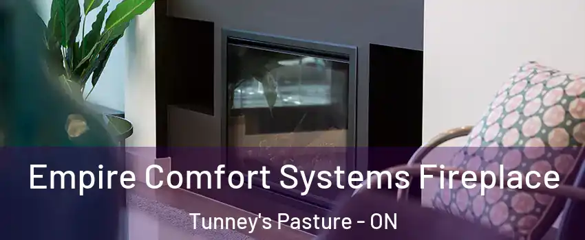  Empire Comfort Systems Fireplace Tunney's Pasture - ON