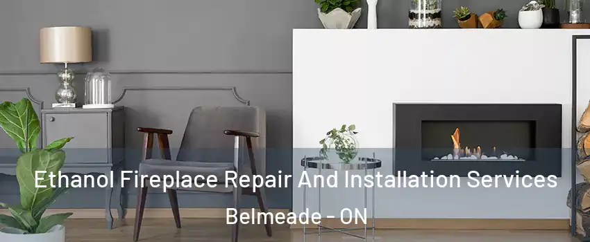  Ethanol Fireplace Repair And Installation Services Belmeade - ON