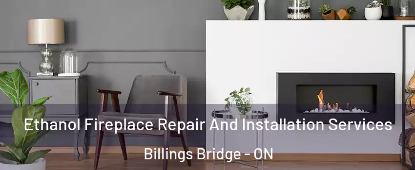  Ethanol Fireplace Repair And Installation Services Billings Bridge - ON