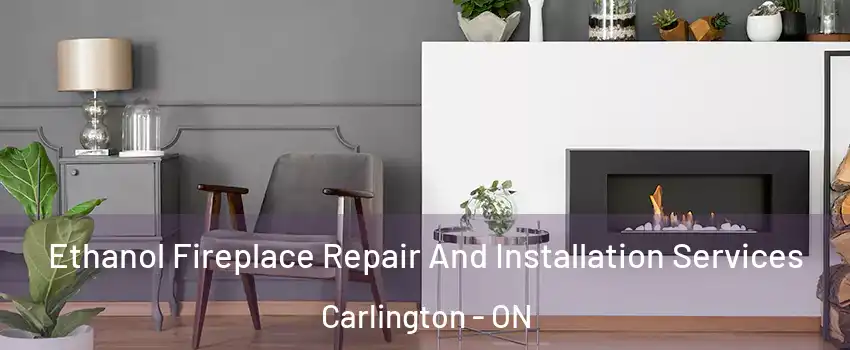  Ethanol Fireplace Repair And Installation Services Carlington - ON