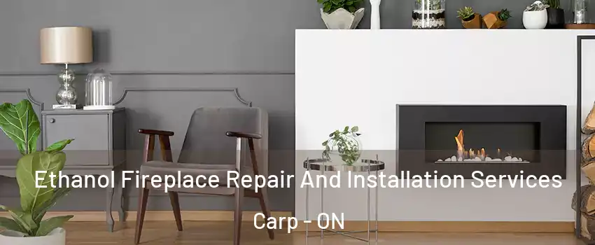  Ethanol Fireplace Repair And Installation Services Carp - ON