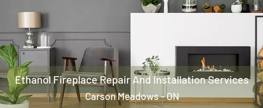  Ethanol Fireplace Repair And Installation Services Carson Meadows - ON