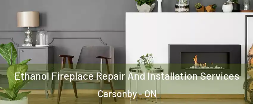  Ethanol Fireplace Repair And Installation Services Carsonby - ON