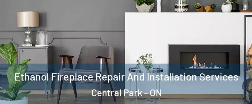  Ethanol Fireplace Repair And Installation Services Central Park - ON