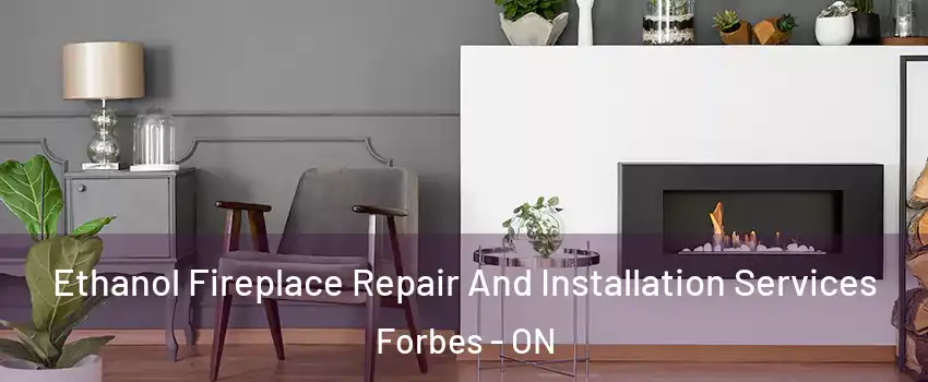  Ethanol Fireplace Repair And Installation Services Forbes - ON