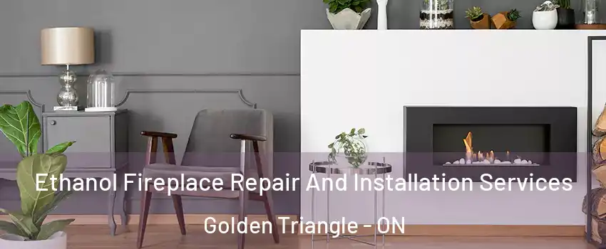  Ethanol Fireplace Repair And Installation Services Golden Triangle - ON