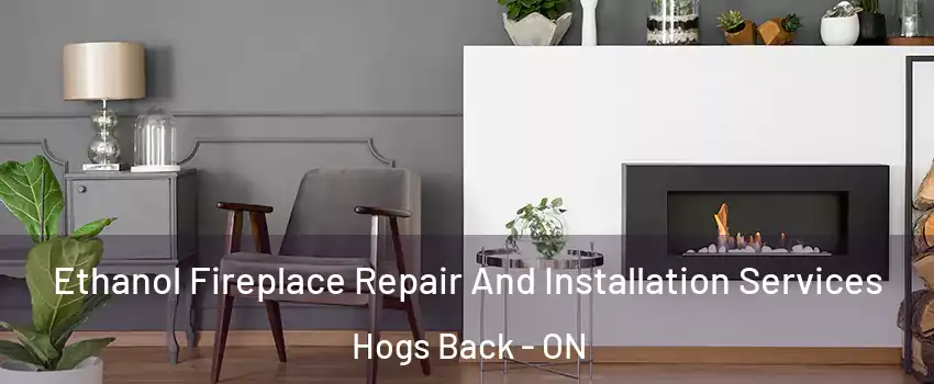  Ethanol Fireplace Repair And Installation Services Hogs Back - ON