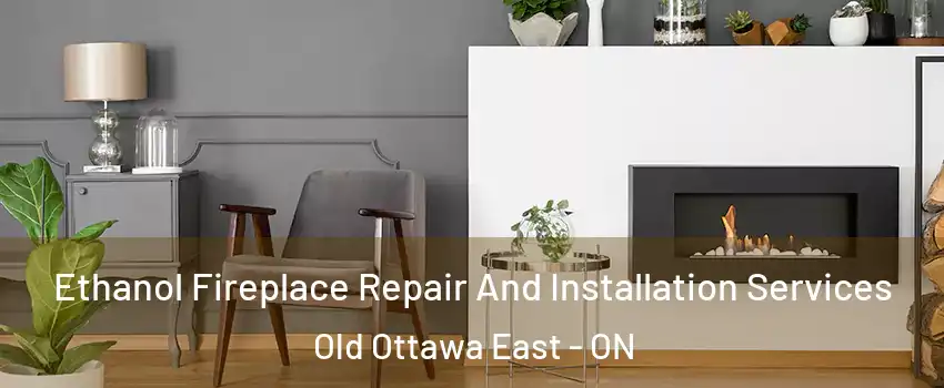  Ethanol Fireplace Repair And Installation Services Old Ottawa East - ON