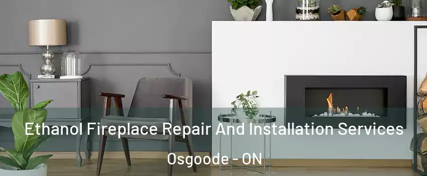  Ethanol Fireplace Repair And Installation Services Osgoode - ON