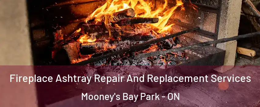  Fireplace Ashtray Repair And Replacement Services Mooney's Bay Park - ON