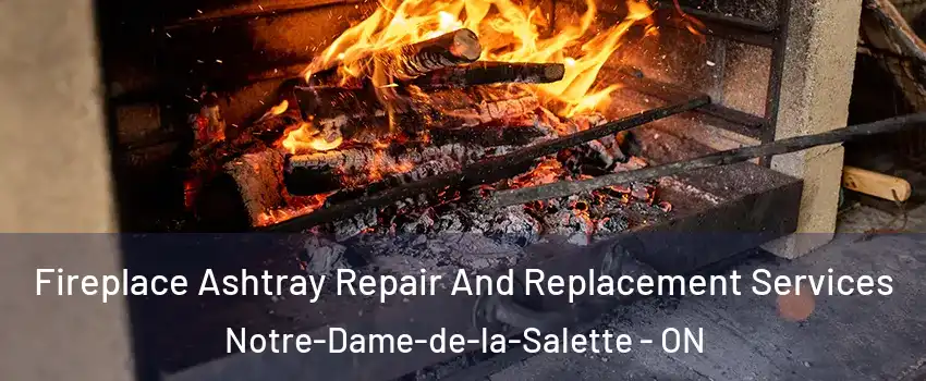  Fireplace Ashtray Repair And Replacement Services Notre-Dame-de-la-Salette - ON