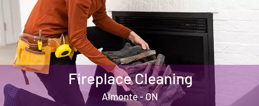  Fireplace Cleaning Almonte - ON