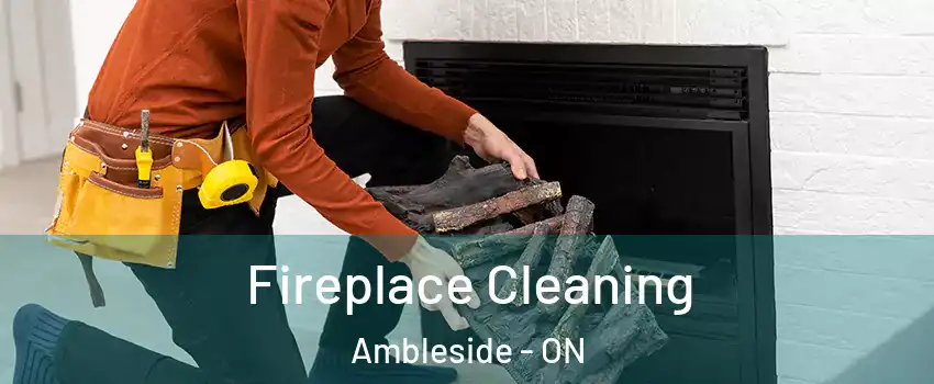  Fireplace Cleaning Ambleside - ON