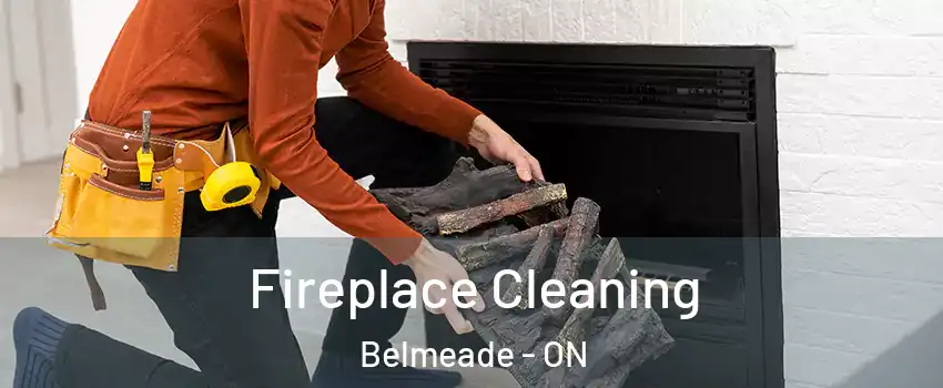  Fireplace Cleaning Belmeade - ON