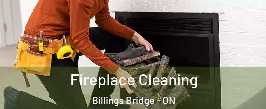  Fireplace Cleaning Billings Bridge - ON